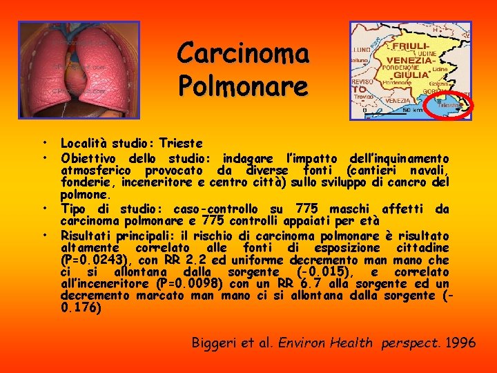 Carcinoma Polmonare • • Località studio: Trieste Obiettivo dello studio: indagare l’impatto dell’inquinamento atmosferico