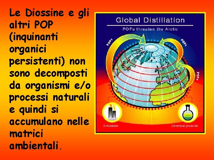 Le Diossine e gli altri POP (inquinanti organici persistenti) non sono decomposti da organismi