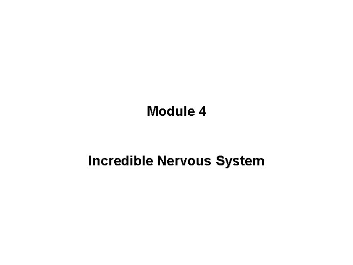 Module 4 Incredible Nervous System 