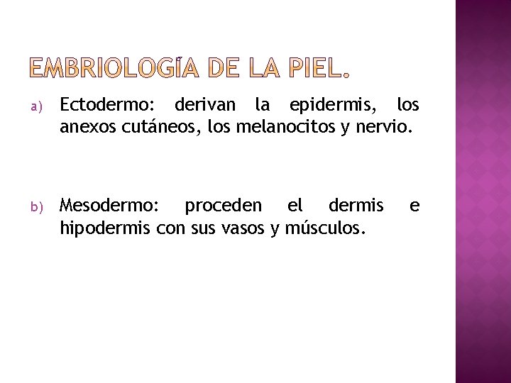 a) Ectodermo: derivan la epidermis, los anexos cutáneos, los melanocitos y nervio. b) Mesodermo: