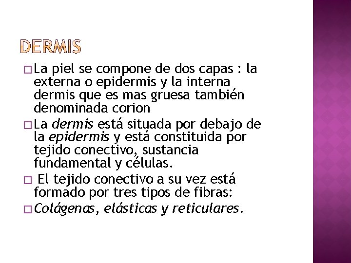 � La piel se compone de dos capas : la externa o epidermis y