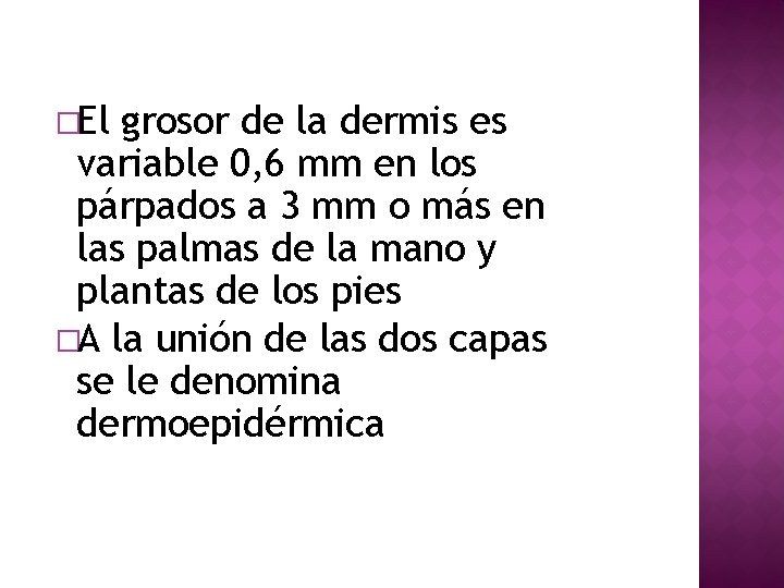 �El grosor de la dermis es variable 0, 6 mm en los párpados a