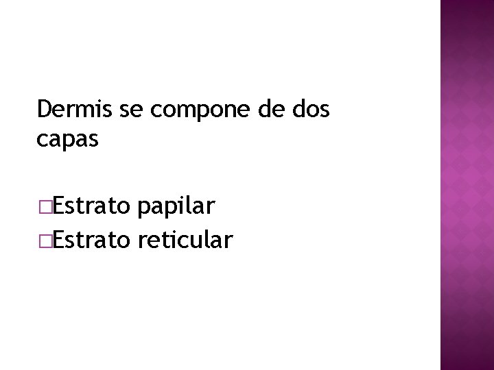 Dermis se compone de dos capas �Estrato papilar �Estrato reticular 