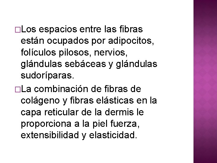 �Los espacios entre las fibras están ocupados por adipocitos, folículos pilosos, nervios, glándulas sebáceas