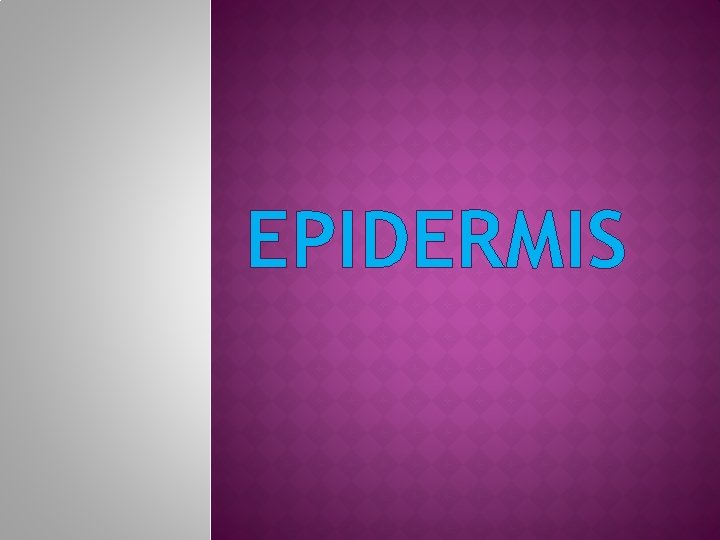 EPIDERMIS 