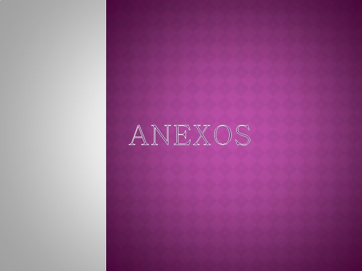 ANEXOS 