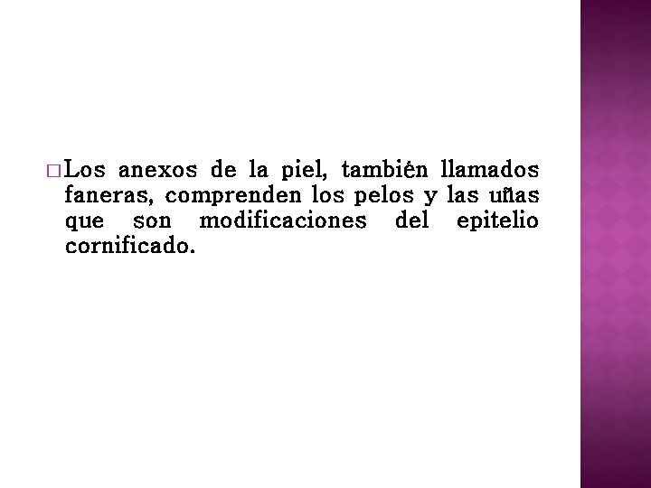 � Los anexos de la piel, también llamados faneras, comprenden los pelos y las