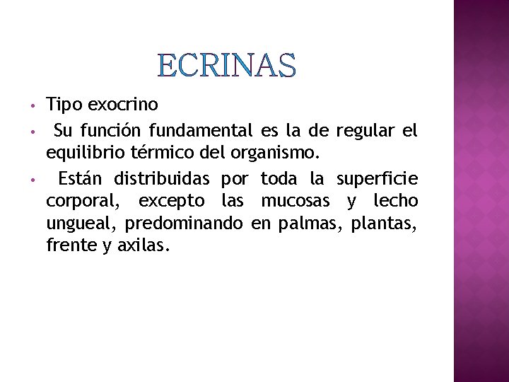 ECRINAS • • • Tipo exocrino Su función fundamental es la de regular el