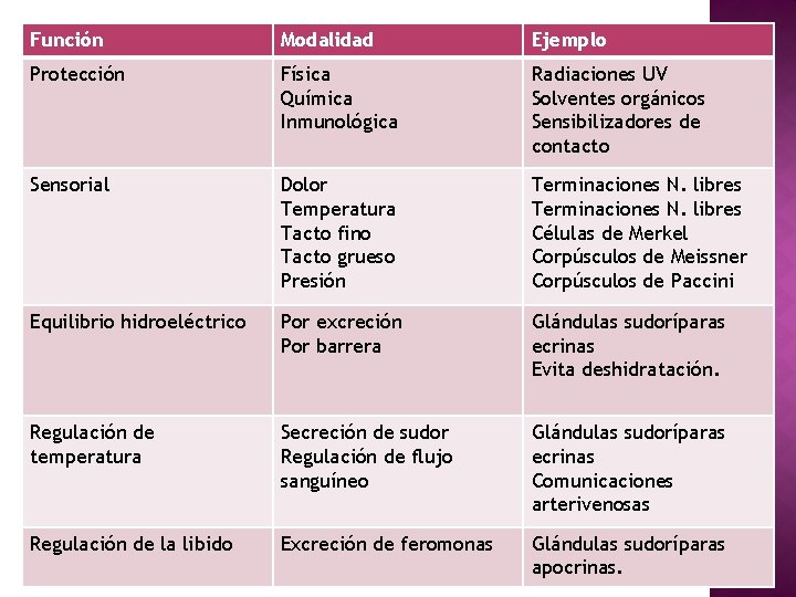 Función Modalidad Ejemplo Protección Física Química Inmunológica Radiaciones UV Solventes orgánicos Sensibilizadores de contacto