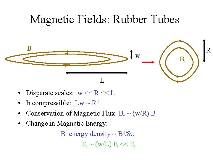 Magnetic Fields: Rubber Tubes Bi w L • • Disparate scales: w << R