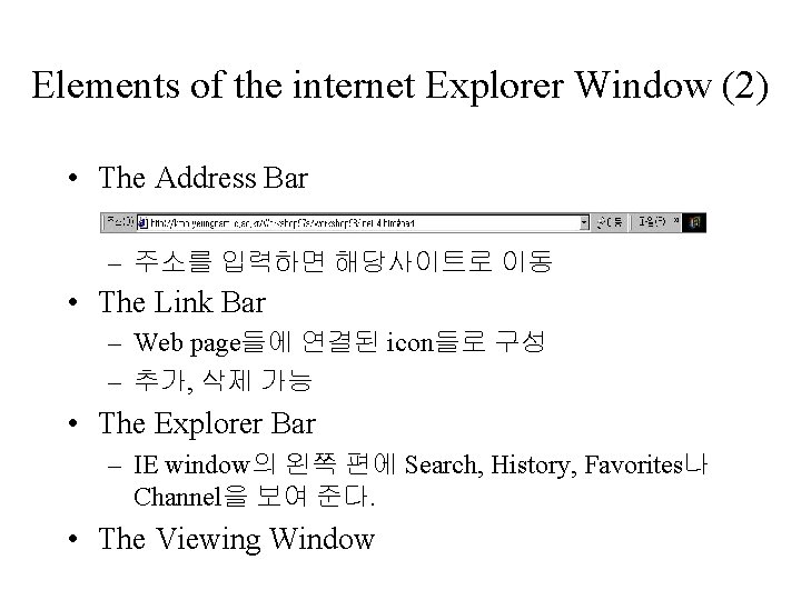 Elements of the internet Explorer Window (2) • The Address Bar – 주소를 입력하면