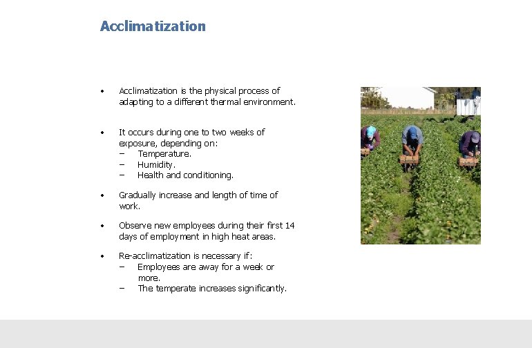 Acclimatization • Acclimatization is the physical process of adapting to a different thermal environment.