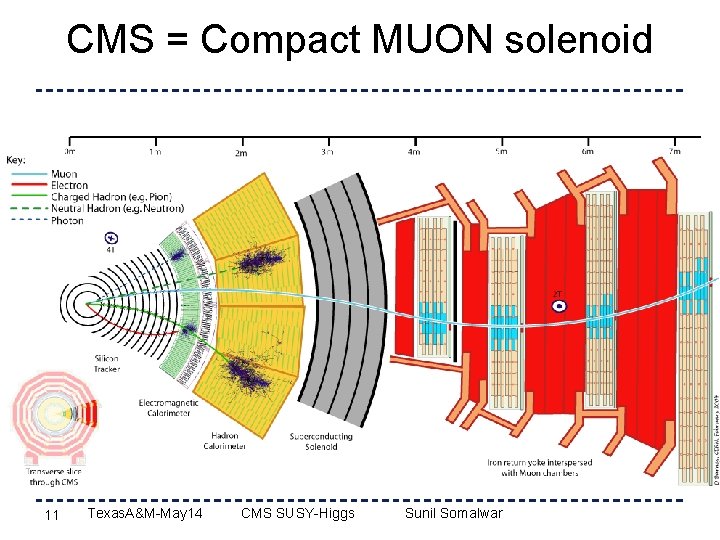 CMS = Compact MUON solenoid 11 Texas. A&M-May 14 CMS SUSY-Higgs Sunil Somalwar 