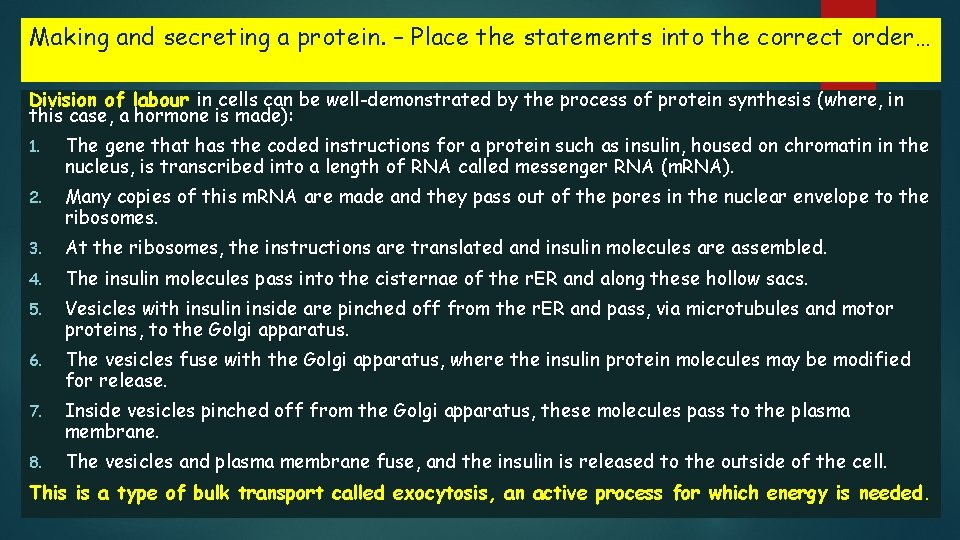 Making and secreting a protein. – Place the statements into the correct order… Division Making and secreting a protein. – Place the statements into the correct order… Division