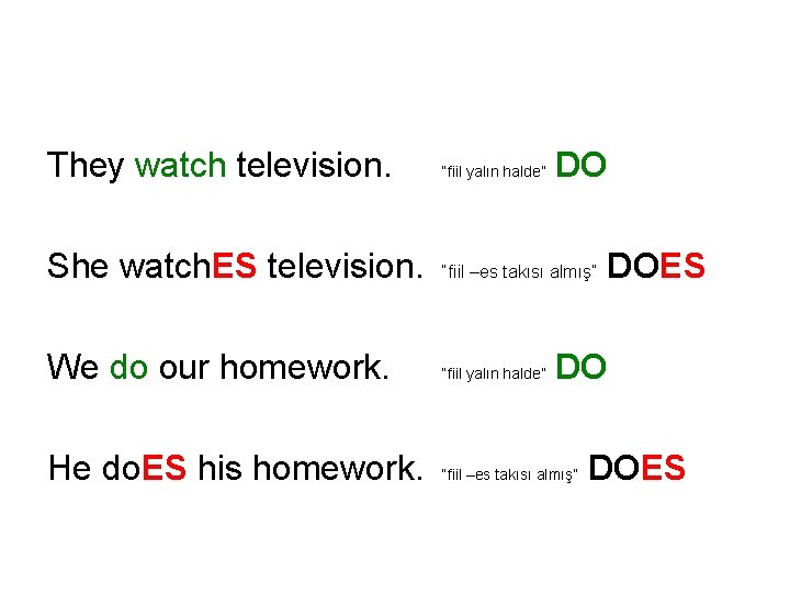 They watch television. “fiil yalın halde” DO She watch. ES television. “fiil –es takısı