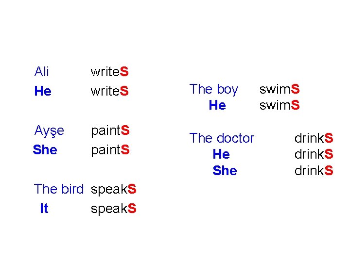 Ali He write. S Ayşe She paint. S The bird speak. S It speak.