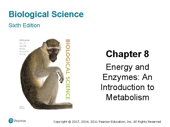 Biological Science Sixth Edition Chapter 8 Energy and Enzymes: An Introduction to Metabolism Copyright