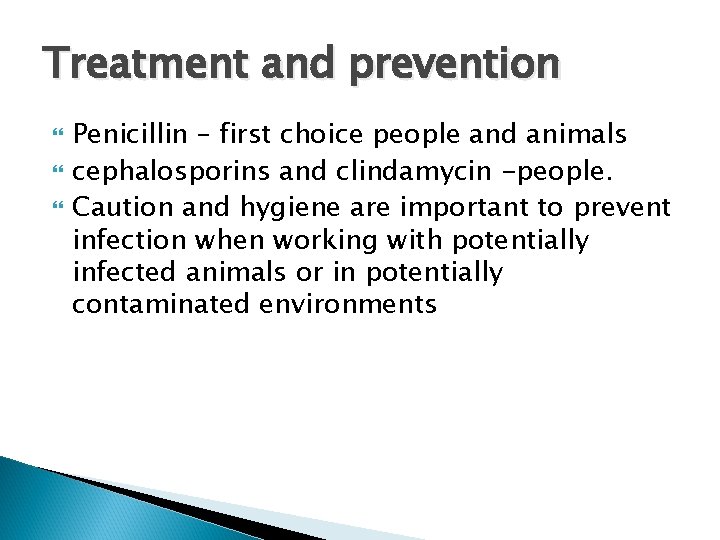 Treatment and prevention Penicillin – first choice people and animals cephalosporins and clindamycin -people.