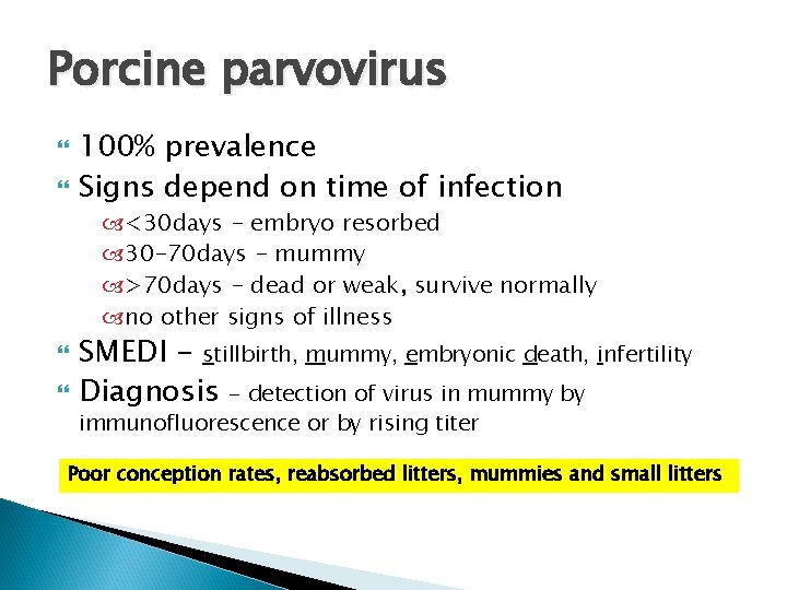 Porcine parvovirus 100% prevalence Signs depend on time of infection <30 days - embryo