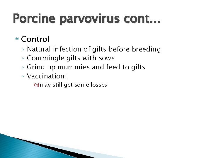 Porcine parvovirus cont. . . Control ◦ ◦ Natural infection of gilts before breeding