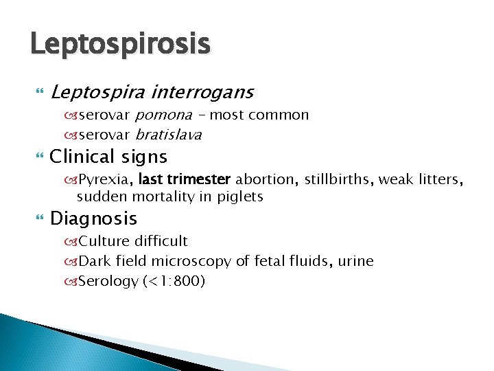 Leptospirosis Leptospira interrogans serovar pomona - most common serovar bratislava Clinical signs Pyrexia, last