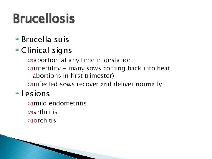 Brucellosis Brucella suis Clinical signs abortion at any time in gestation infertility - many