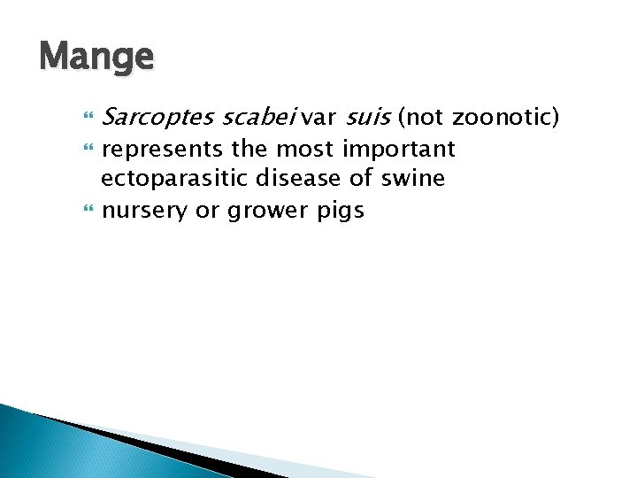 Mange Sarcoptes scabei var suis (not zoonotic) represents the most important ectoparasitic disease of