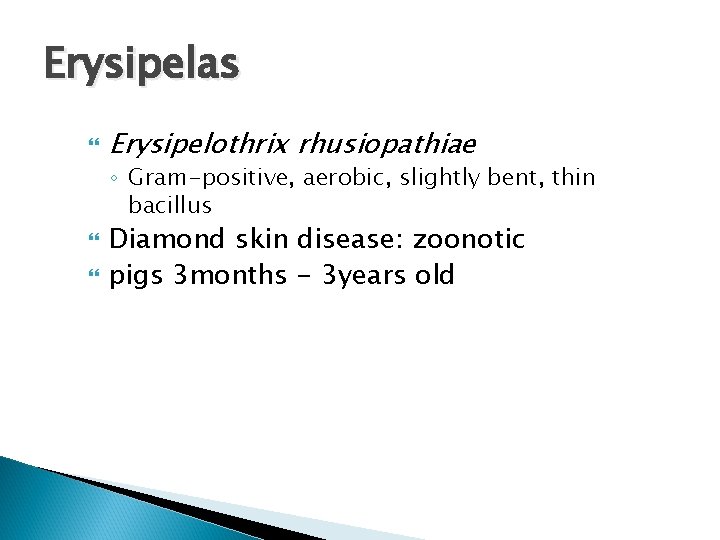 Erysipelas Erysipelothrix rhusiopathiae ◦ Gram-positive, aerobic, slightly bent, thin bacillus Diamond skin disease: zoonotic