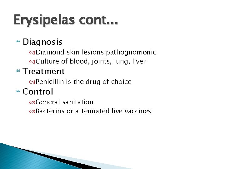 Erysipelas cont. . . Diagnosis Diamond skin lesions pathognomonic Culture of blood, joints, lung,