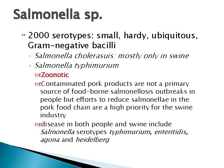 Salmonella sp. 2000 serotypes: small, hardy, ubiquitous, Gram-negative bacilli ◦ Salmonella cholerasuis: mostly only