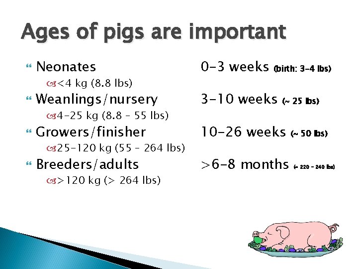 Ages of pigs are important Neonates 0 -3 weeks Weanlings/nursery 3 -10 weeks Growers/finisher