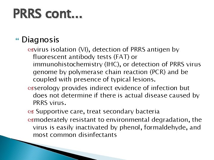 PRRS cont. . . Diagnosis virus isolation (VI), detection of PRRS antigen by fluorescent