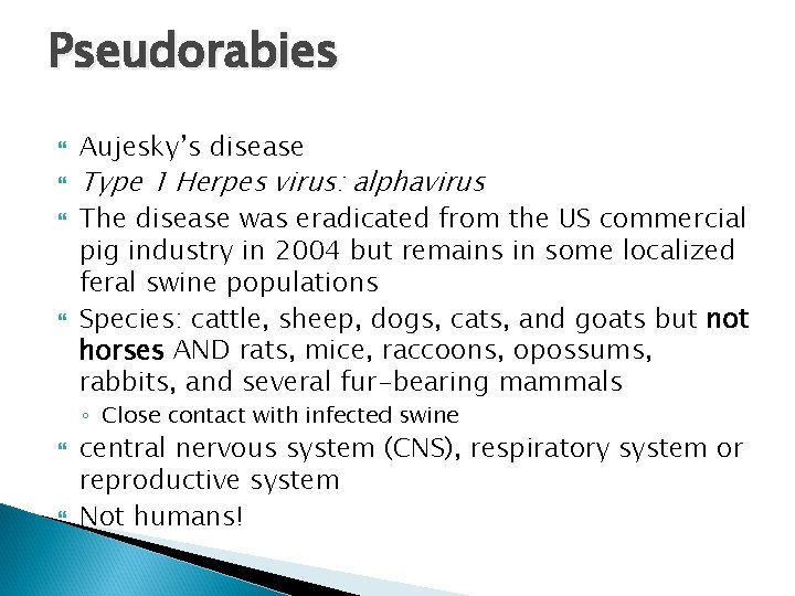 Pseudorabies Aujesky’s disease Type 1 Herpes virus: alphavirus The disease was eradicated from the