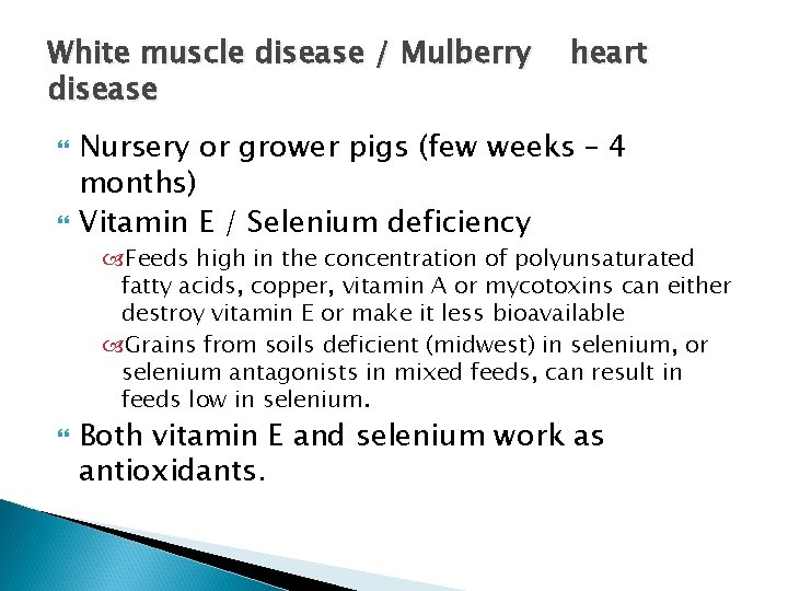 White muscle disease / Mulberry disease heart Nursery or grower pigs (few weeks –