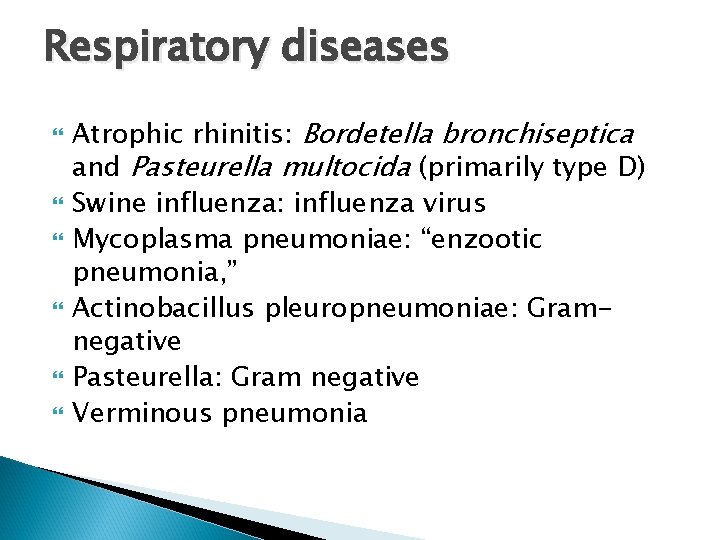 Respiratory diseases Atrophic rhinitis: Bordetella bronchiseptica and Pasteurella multocida (primarily type D) Swine influenza: