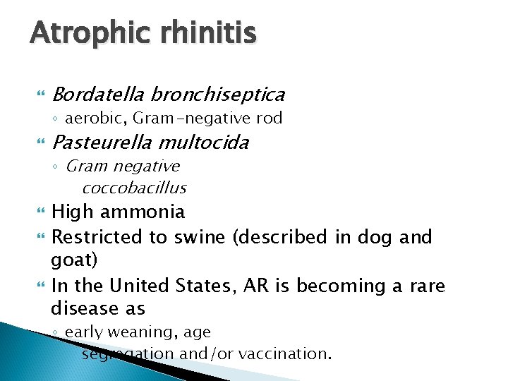 Atrophic rhinitis Bordatella bronchiseptica ◦ aerobic, Gram-negative rod Pasteurella multocida ◦ Gram negative coccobacillus