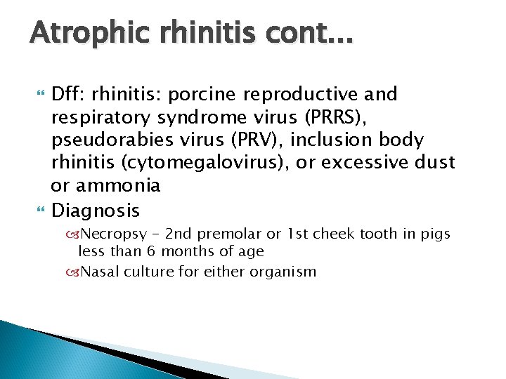 Atrophic rhinitis cont. . . Dff: rhinitis: porcine reproductive and respiratory syndrome virus (PRRS),