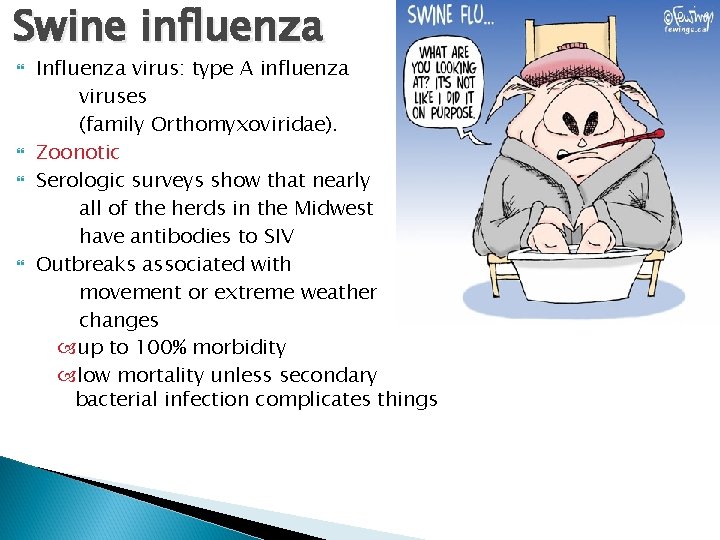 Swine influenza Influenza virus: type A influenza viruses (family Orthomyxoviridae). Zoonotic Serologic surveys show
