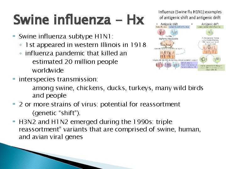 Swine influenza - Hx Swine influenza subtype H 1 N 1: ◦ 1 st