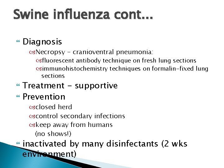 Swine influenza cont. . . Diagnosis Necropsy - cranioventral pneumonia: fluorescent antibody technique on