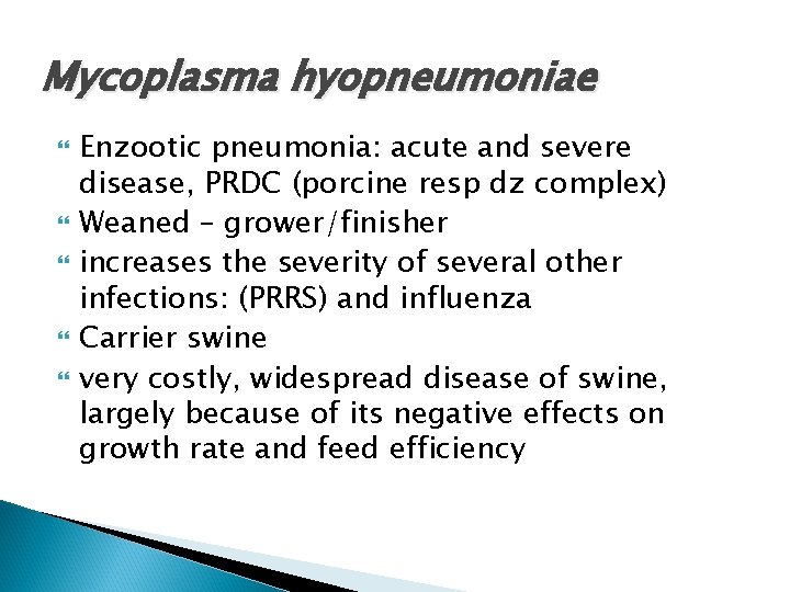 Mycoplasma hyopneumoniae Enzootic pneumonia: acute and severe disease, PRDC (porcine resp dz complex) Weaned