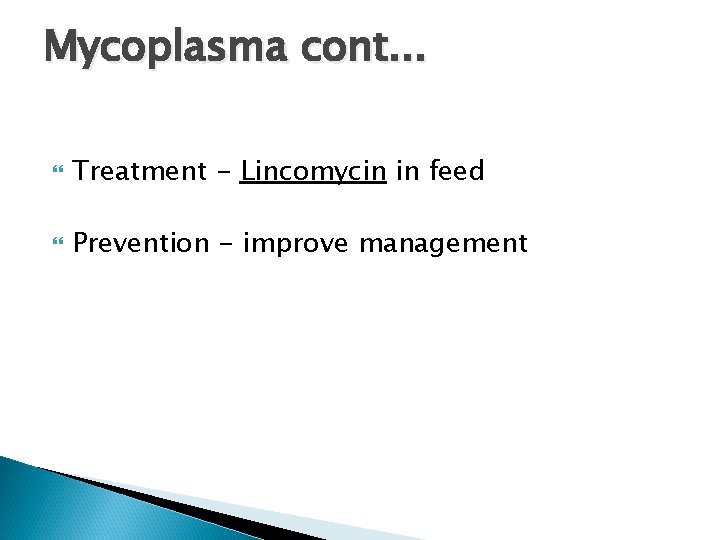 Mycoplasma cont. . . Treatment - Lincomycin in feed Prevention - improve management 