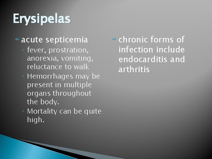 Erysipelas acute septicemia ◦ fever, prostration, anorexia, vomiting, reluctance to walk ◦ Hemorrhages may