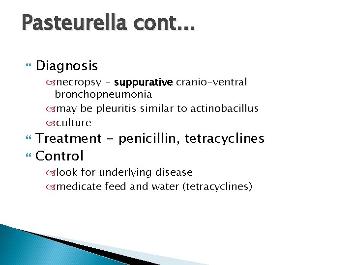Pasteurella cont. . . Diagnosis necropsy - suppurative cranio-ventral bronchopneumonia may be pleuritis similar