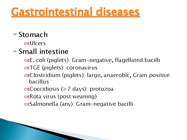 Gastrointestinal diseases Stomach Ulcers Small intestine E. coli (piglets): Gram-negative, flagellated bacilli TGE (piglets):