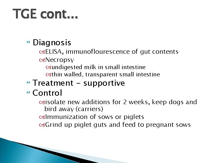 TGE cont. . . Diagnosis ELISA, immunoflourescence of gut contents Necropsy undigested milk in