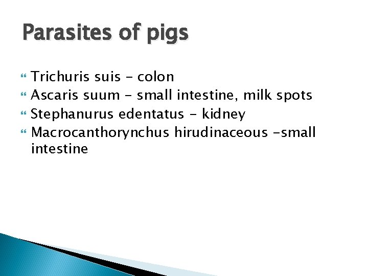 Parasites of pigs Trichuris suis - colon Ascaris suum - small intestine, milk spots