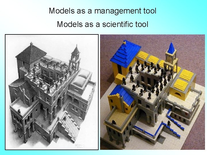 Models as a management tool Models as a scientific tool 