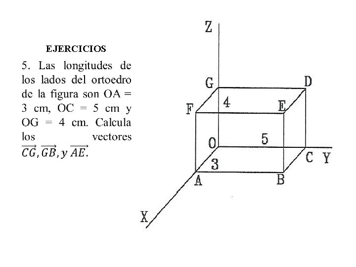 EJERCICIOS 