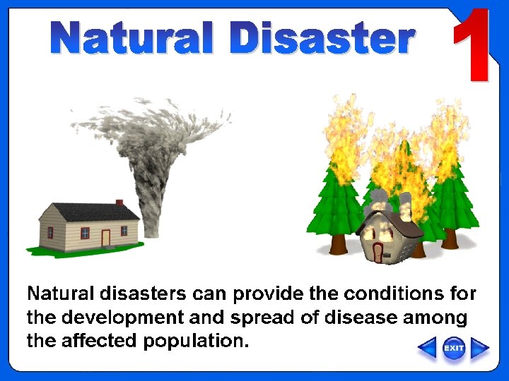OVERVIEW – Type 1, Natural Disaster Volunteer (VIPERS) 